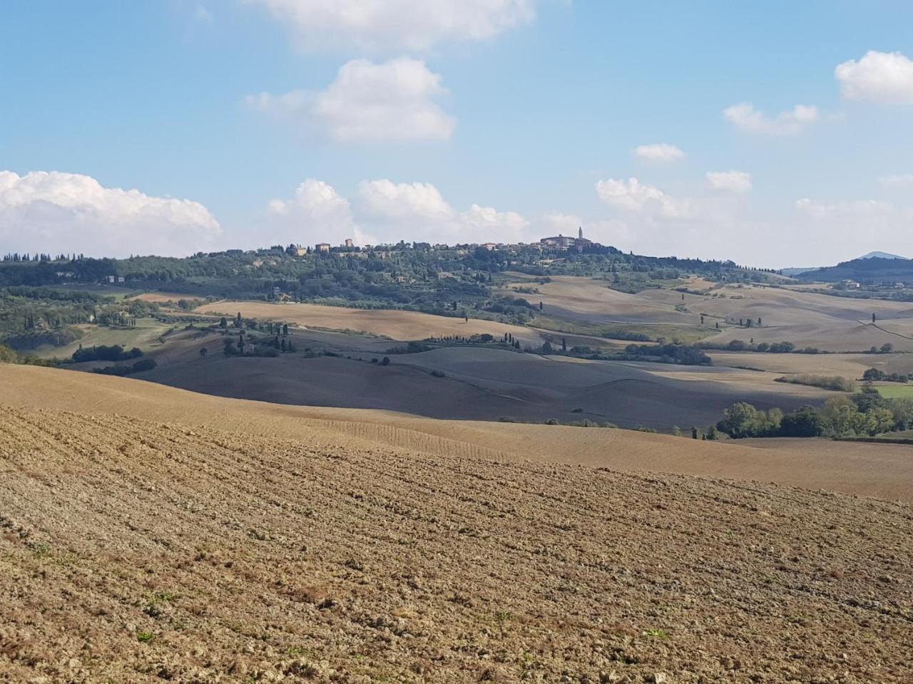 B&B Il Glicine Montefollonico Esterno foto