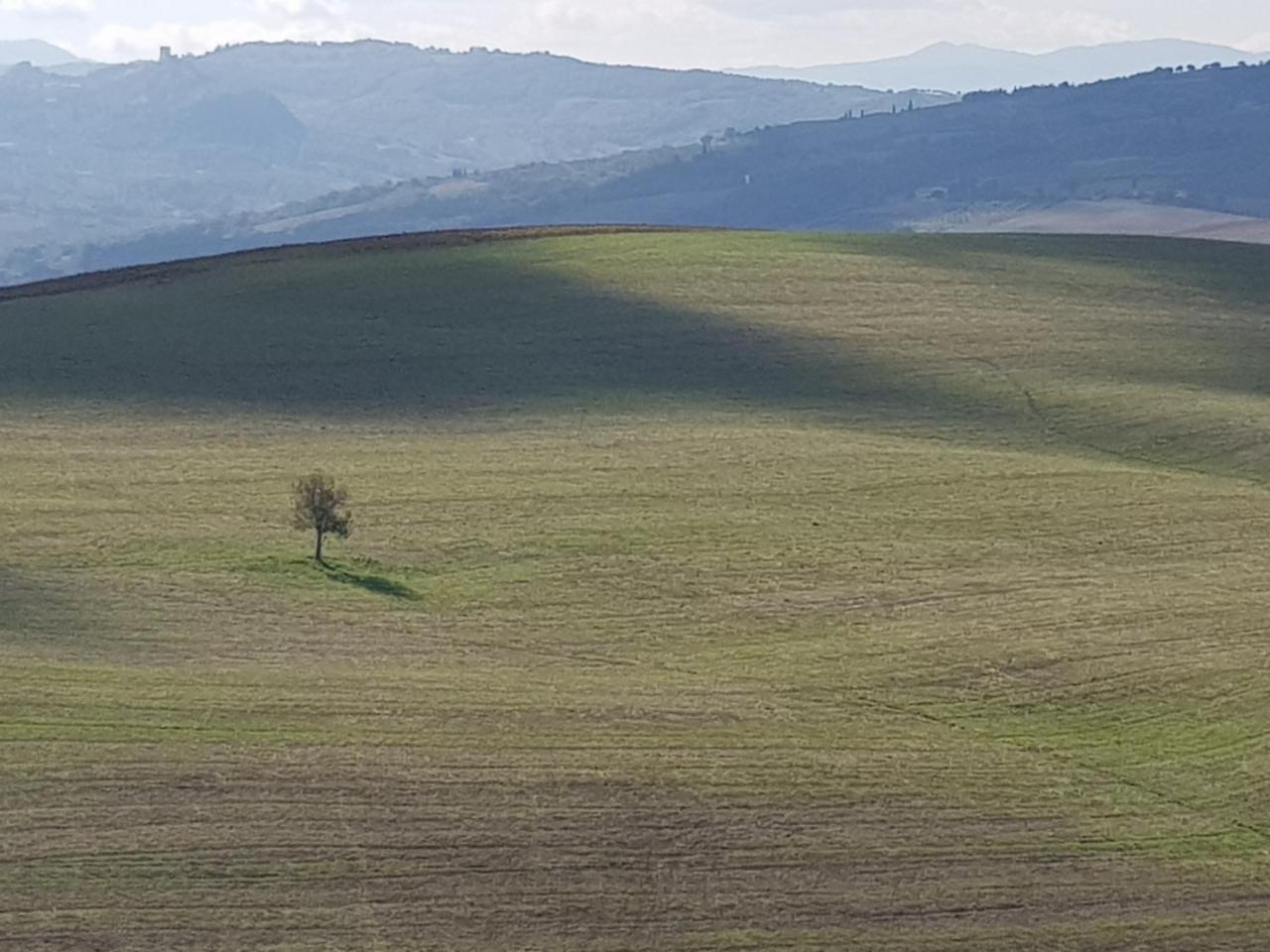 B&B Il Glicine Montefollonico Esterno foto