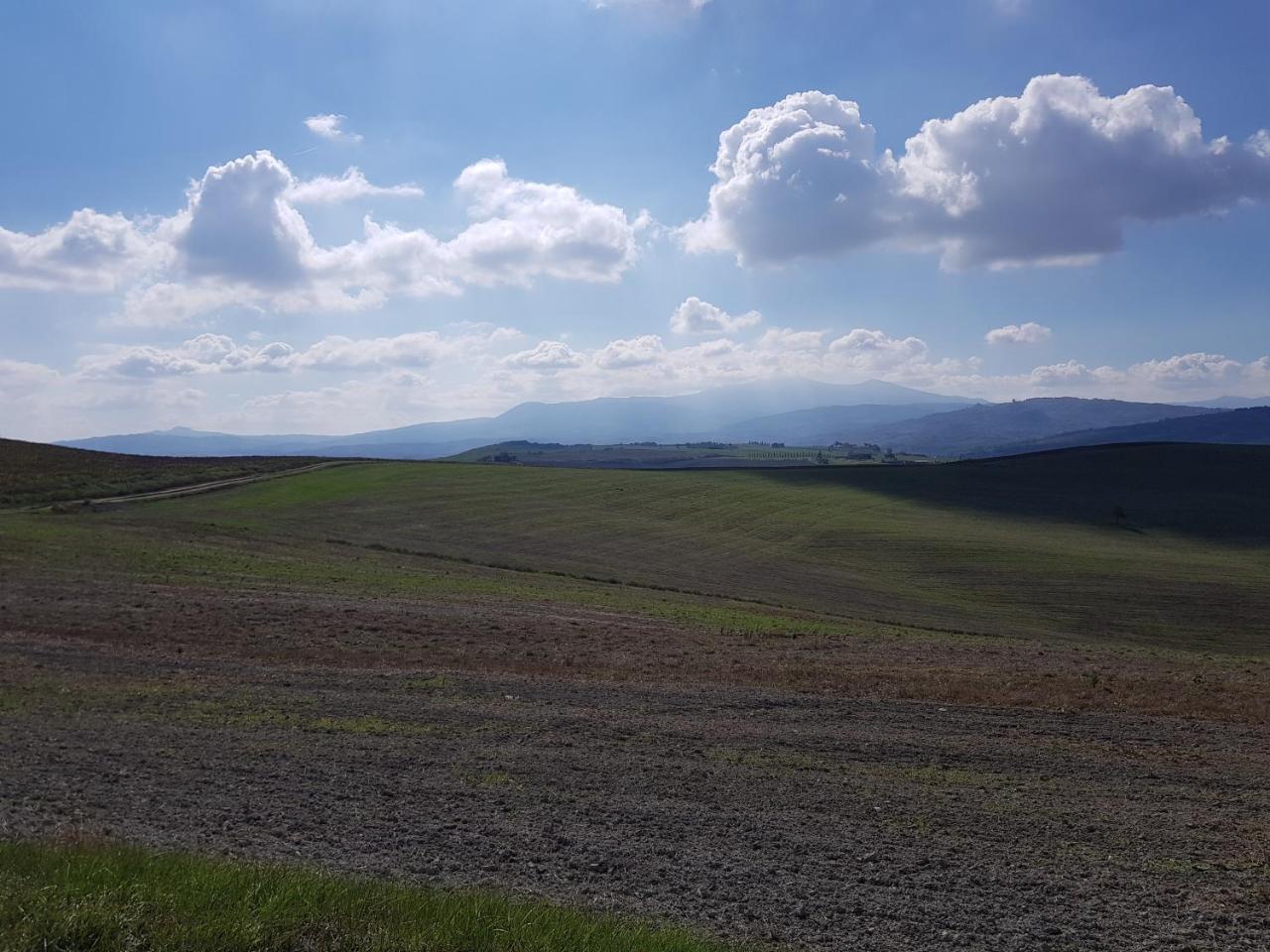 B&B Il Glicine Montefollonico Esterno foto
