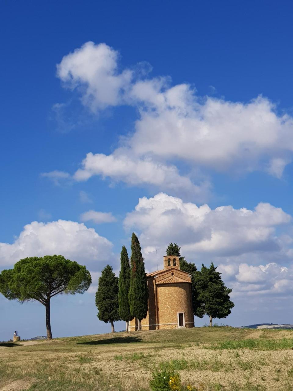 B&B Il Glicine Montefollonico Esterno foto