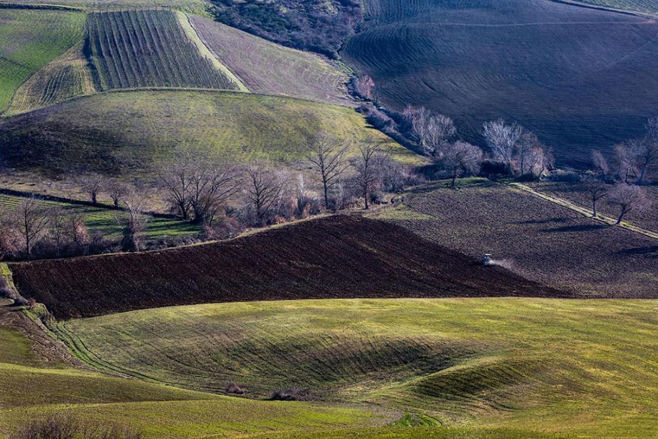B&B Il Glicine Montefollonico Esterno foto