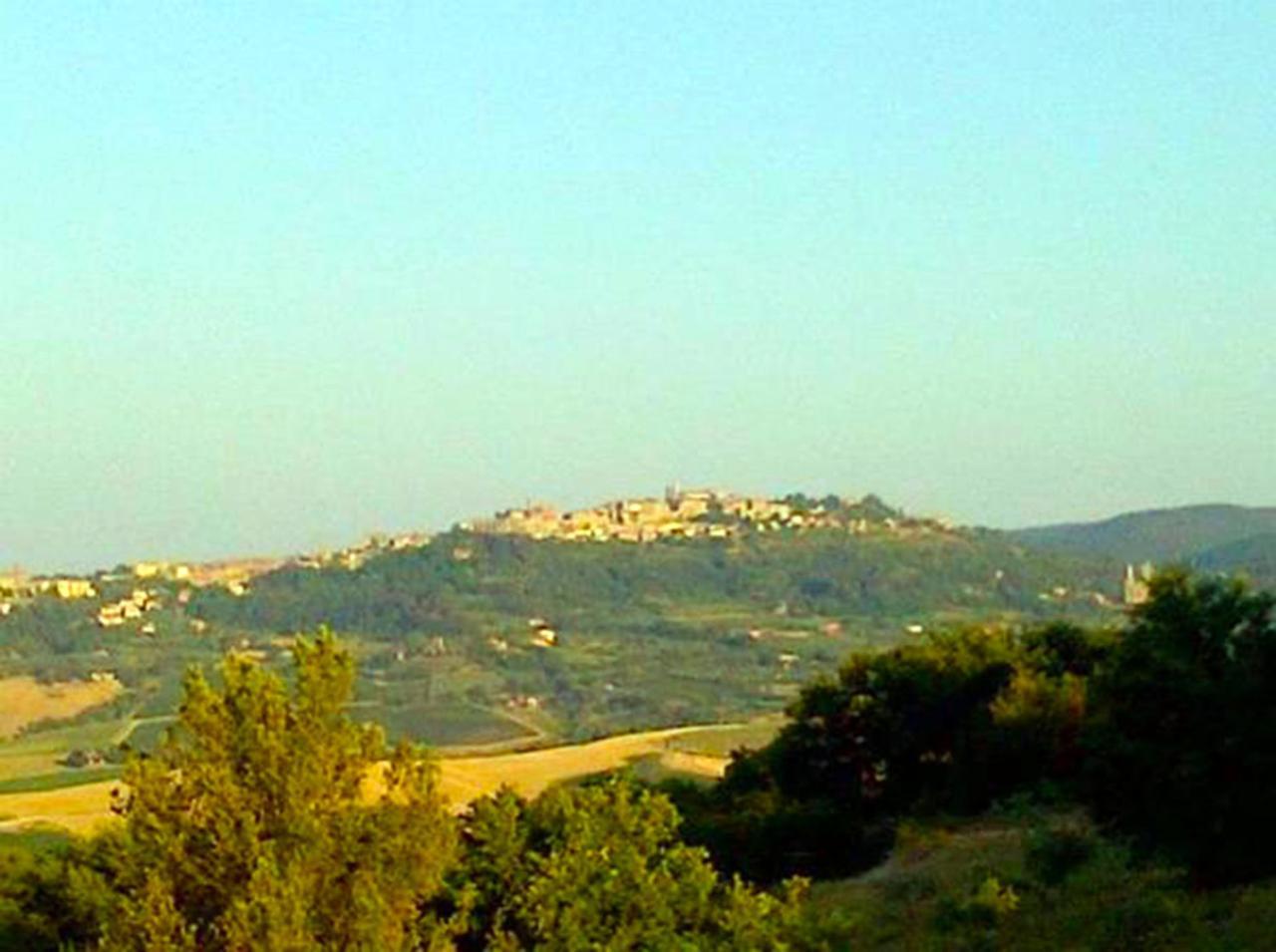 B&B Il Glicine Montefollonico Esterno foto