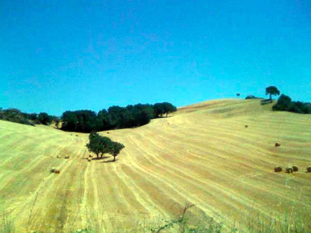 B&B Il Glicine Montefollonico Esterno foto