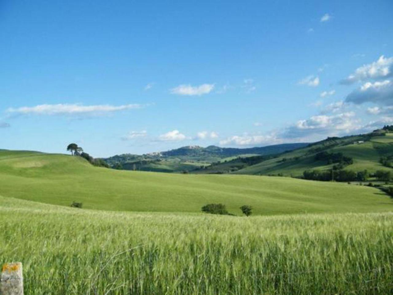 B&B Il Glicine Montefollonico Esterno foto
