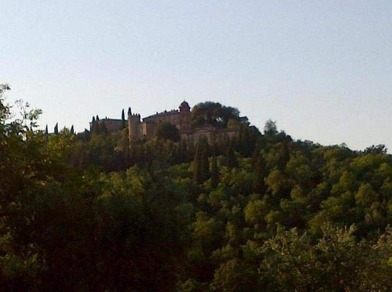 B&B Il Glicine Montefollonico Esterno foto