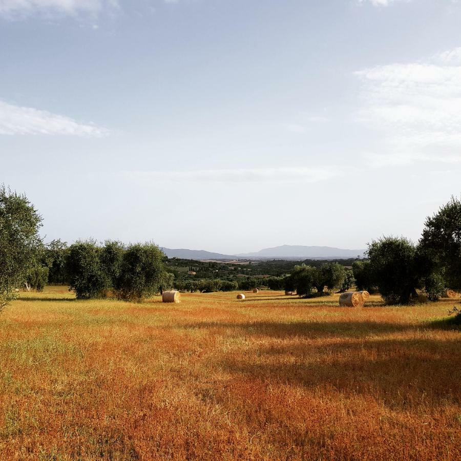 B&B Il Glicine Montefollonico Esterno foto