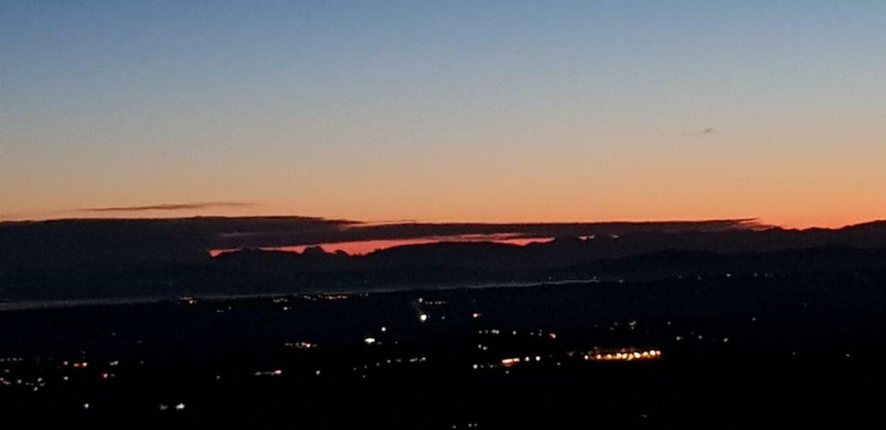 B&B Il Glicine Montefollonico Esterno foto