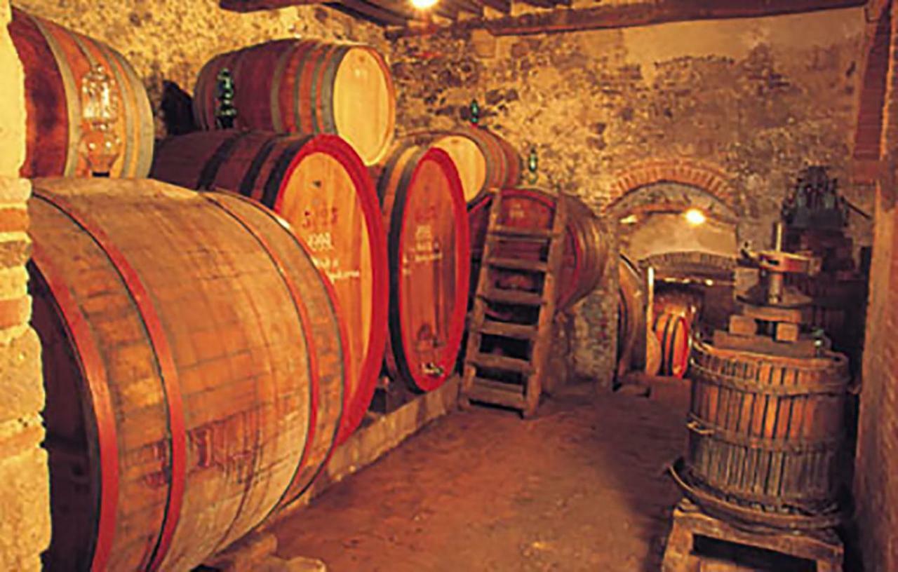 B&B Il Glicine Montefollonico Esterno foto