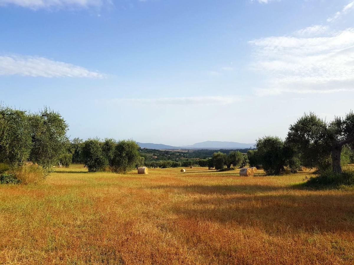 B&B Il Glicine Montefollonico Esterno foto